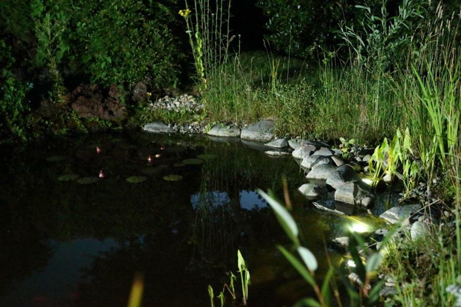 Ferienwohnung Welcome Mit Seeblick Schalkenmehren Exteriér fotografie