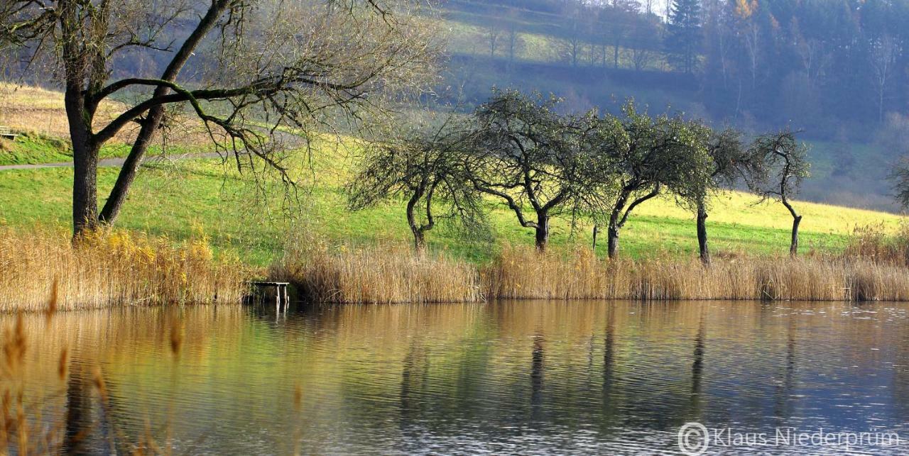 Ferienwohnung Welcome Mit Seeblick Schalkenmehren Exteriér fotografie